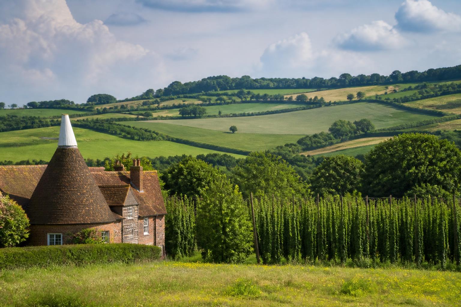 Kentish oast house and tile-hung cottage beside hop gardens in the rolling Weald