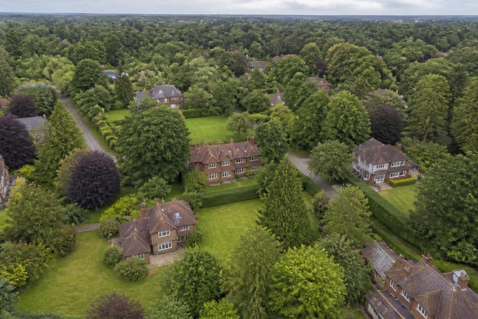 Leafy Surrey suburbs of detached houses set among mature trees and large gardens